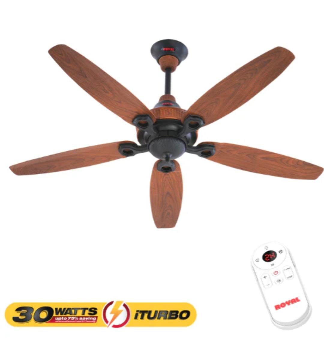 Royal iTurbo - 30 Watts fans 