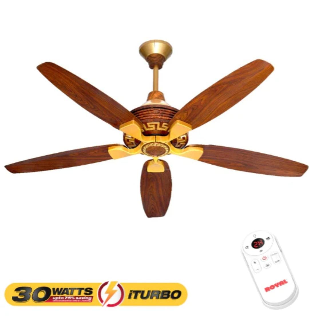 Royal iTurbo - 30 Watts fans.